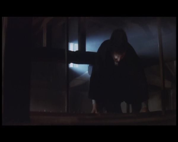 顶楼的偷窃狂 江戸川乱歩猟奇馆 屋根里の散歩者 –