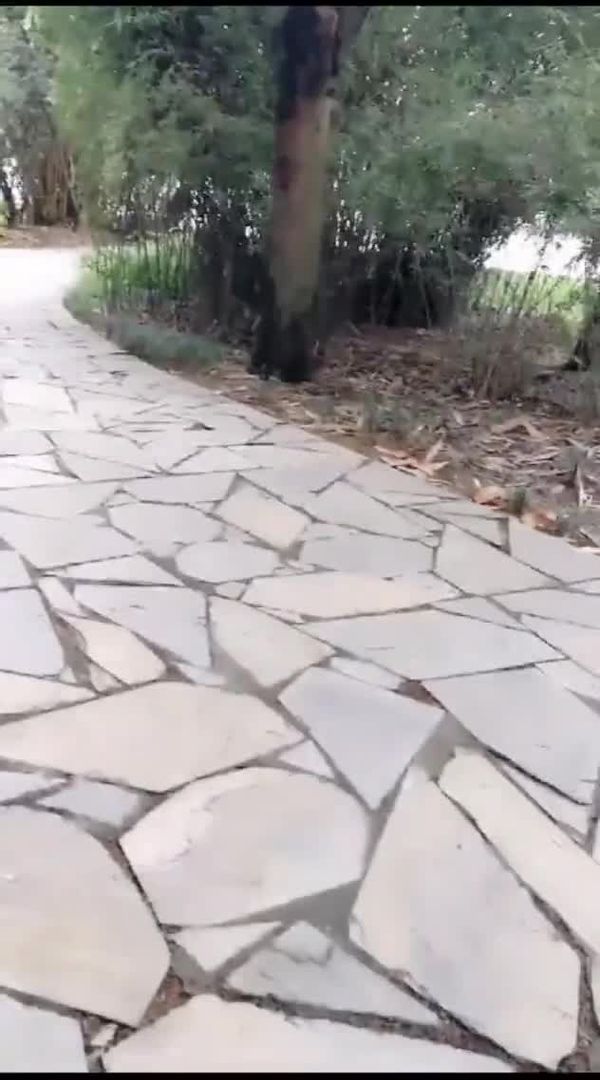 毕业女找兼职面试野外怕被看回家继续玩